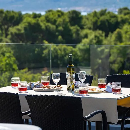 My Dalmatia - Senti With Private Heated Pool Lejlighed Starigrad Paklenica